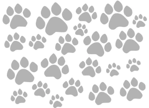 NAŽEHLOVAČKA REFLEXNÍ - Arch psí stopy