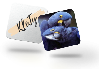 Magnetka - Ara modrá