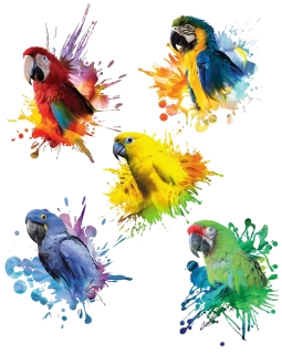 NAŽEHLOVAČKA - Arch papoušků