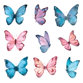 NAŽEHLOVAČKA -  Arch Motýlci