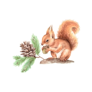 NAŽEHLOVAČKA -  Veverka s šiškou