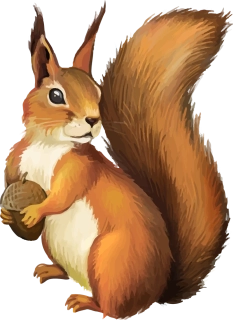 NAŽEHLOVAČKA -  Veverka s oříšky