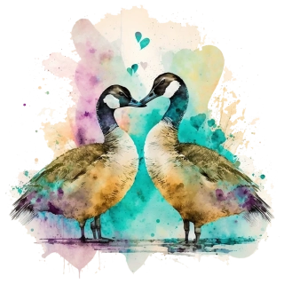 NAŽEHLOVAČKA -  Zamilovaný Husy