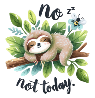 NAŽEHLOVAČKA - No zzz not today