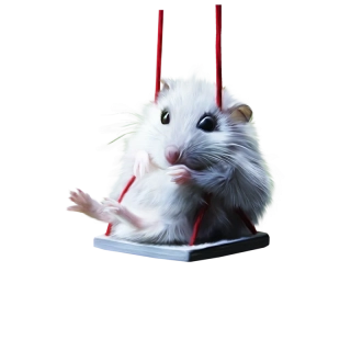 NAŽEHLOVAČKA - Křeček na houpačce