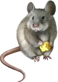 NAŽEHLOVAČKA - Myš se sýrem