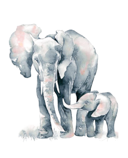 NAŽEHLOVAČKA - Slon máma a mládě