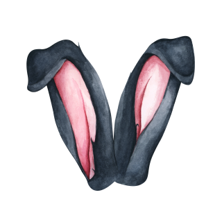 NAŽEHLOVAČKA - Černé uši