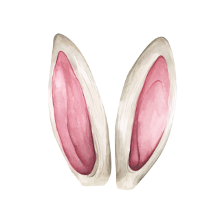 NAŽEHLOVAČKA - Bílé uši