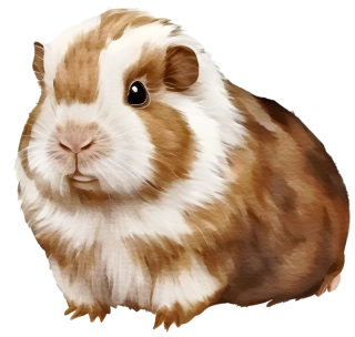 NAŽEHLOVAČKA - Morče Guidik