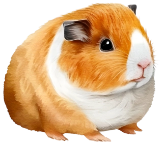 NAŽEHLOVAČKA - Morče Zrzek