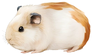 NAŽEHLOVAČKA - Morče Proužek