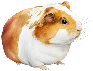 NAŽEHLOVAČKA - Morče Stračenka