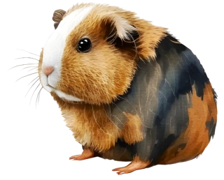 NAŽEHLOVAČKA - Morče Julinka