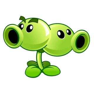 NAŽEHLOVAČKA - Plants splitpea