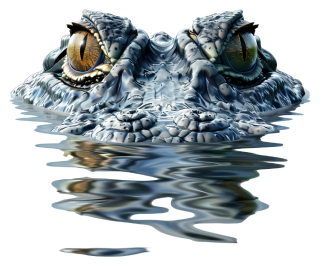 NAŽEHLOVAČKA -  Krokodýl Bertík