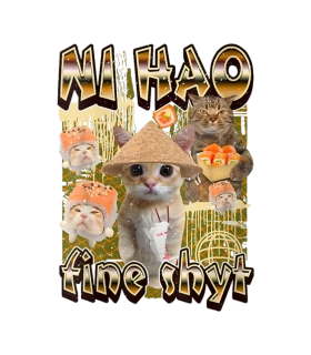 NAŽEHLOVAČKA - Ni Hao Fine Shyt