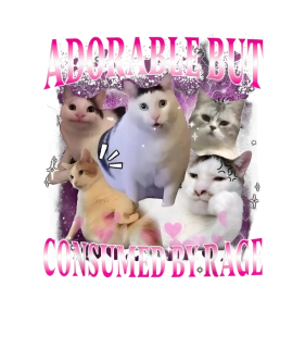 NAŽEHLOVAČKA -  Adorable But Consumed Cat