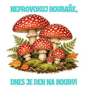 NAŽEHLOVAČKA - Neprovokuj houbaře, dnes je den na houby!