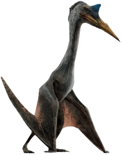 NAŽEHLOVAČKA - Pteranodon