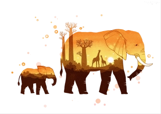 NAŽEHLOVAČKA - Sloni s krajinou