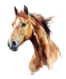 NAŽEHLOVAČKA - Hlava koně hnědáka