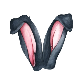 NAŽEHLOVAČKA - Černé uši