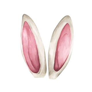 NAŽEHLOVAČKA - Bílé uši