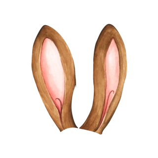 NAŽEHLOVAČKA - Hnědé uši