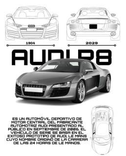 NAŽEHLOVAČKA - Audi R8